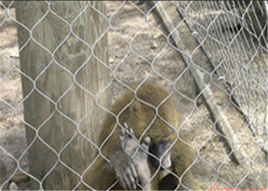 X Tend Expanded Stainless Steel Zoo Mesh , SS 304 Zoo Enclosure Materials