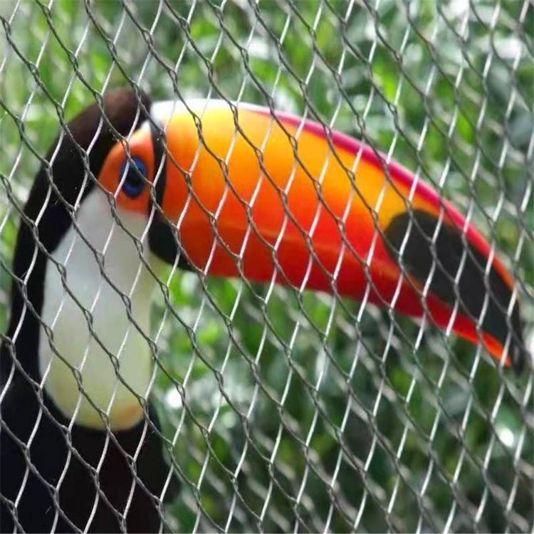 Aviary wire mesh clearance