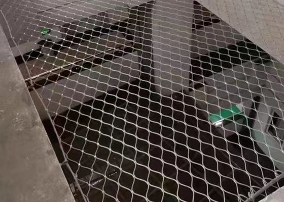 kupować Wytrzymała sieć liniowa ze stali nierdzewnej o długości 30*30 mm online manufacture