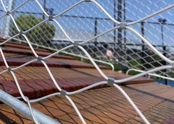 comprare 2.0mm 35*35mm Ferrule Mesh in acciaio inossidabile Netting nero zoo online manufacture