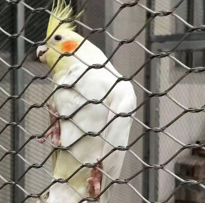 Купить 1.6 мм на заказ СС304 Нержавеющая сталь Плетённая сетка для садового зоопарка online manufacture