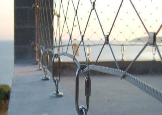 comprar Ferrulado 2 mm Zoo Netting 50 * 50 mm SS316L aço inoxidável Zoo Mesh online manufacture