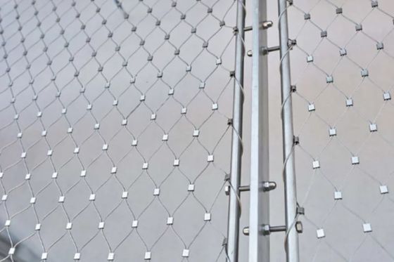 ซื้อ 316 สแตนเลส Fence ตาข่าย 50 * 50 เปิดสแตนเลสสายเครือ online manufacture