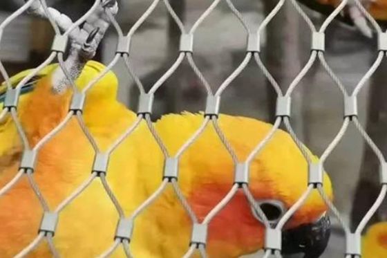 kaufen SS304 Edelstahl 1,6 mm Flexibles Kabeldrahtnetz für Vogelställe online manufacture