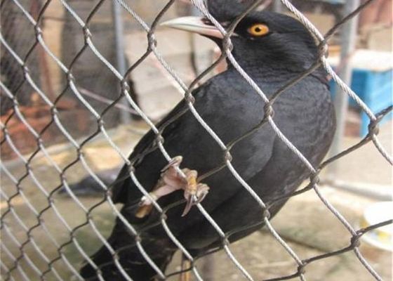 Buy 3mm Stainless Steel 304 Wire Rope Mesh with 50mm Mesh Size for Zoo and Aviary Enclosures online manufacture