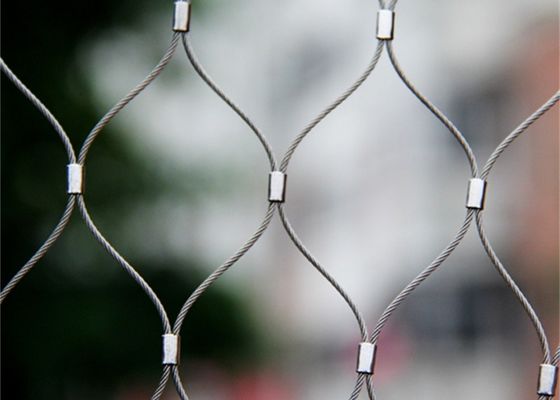 Купить SS316 30mm*30mm Wire Rope Mesh Производитель для Авайри зоопарка сетки Производство в сети