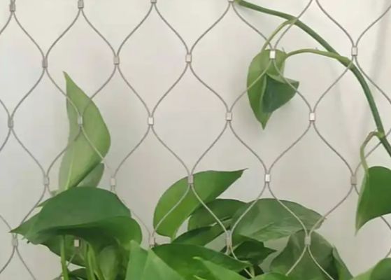 Mua 304 Stainless Steel Rope Net Cable Mesh 75mm Kim cương cho lưới leo núi online manufacture