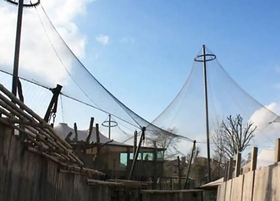 kopen Roestvrij staal draad touw maas 1,6 mm 45 mm Voor vogelhuis online manufacture