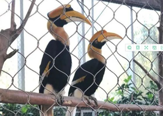 comprar Aço inoxidável 316 rede de cabo 1,6 mm para vedação de segurança online manufacture