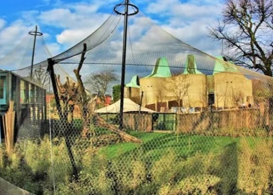 Αγορά SS304 1.5mm 22mm Wire Rope Stainless Steel Cable Netting για φράχτες πτηνοτροφίας online manufacture