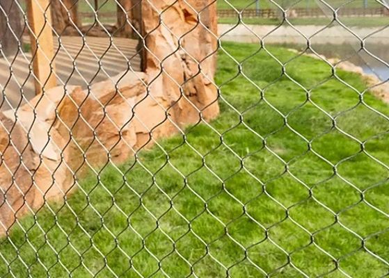 kopen SS304 roestvrij staal touwnet 30 mm Diamant voor dierentuin online manufacture