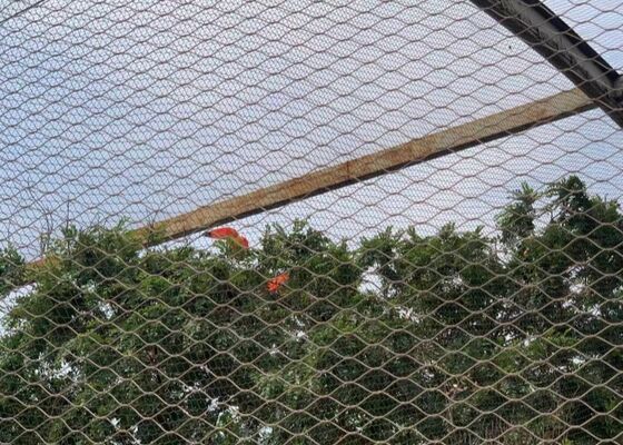 qualidade  Stainless Steel Wire Rope Mesh For Aviary Netting Bridge And Staircase Fencing fábrica