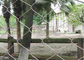 Wear Resisting Stainless Steel Wire Rope Mesh For Protecting Zoo Animals