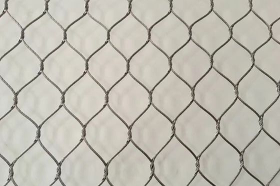 Good price Zwart geoxideerd roestvrij staal vogelhuis net 2 mm diameter vogelhuis gaas online