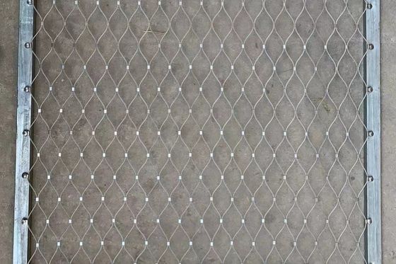 Good price Aço inoxidável preto 30*30mm Aviary Mesh Netting 2,0mm Cable Wire on-line