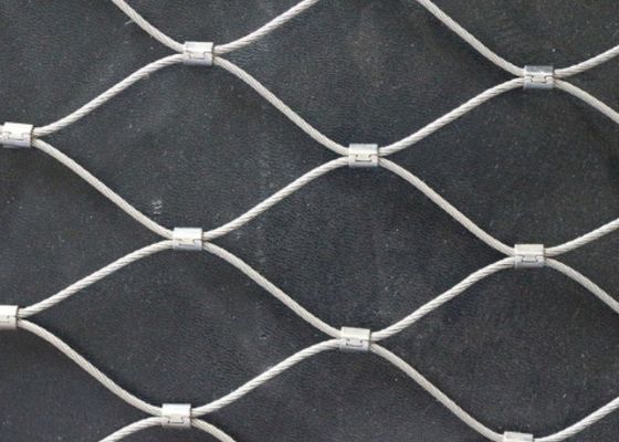 Good price Zwart 25 mm*25 mm vogelvoogddraadnet 304 vogelvoogdnet voor papegaaien online