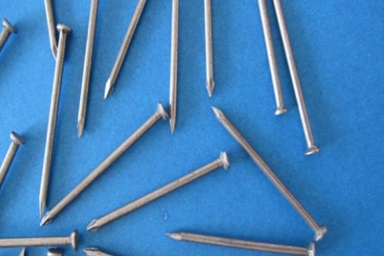 4cm 16D Galvanized Common Nails 20D Ring Shank Nails For Hard Wood