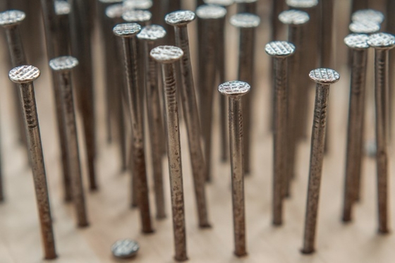 Hot Dipped Galvanized Nails Construction Galvanized Ring Shank Nails