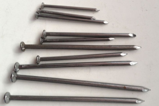Hot Dipped Galvanized Nails Construction Galvanized Ring Shank Nails