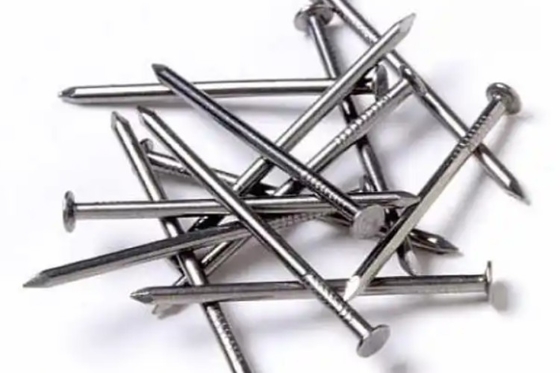 Hot Dipped Galvanized Nails Construction Galvanized Ring Shank Nails