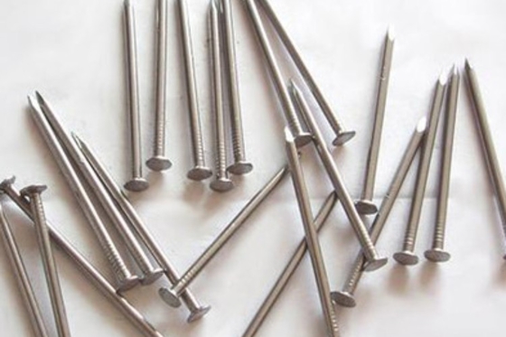 High Strength Galvanized Iron Nails Rust Resistance Flat Head Nails