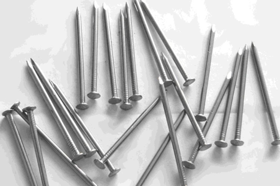 Shank Galvanized Round Wire Nails Smooth Wrought Iron Nails