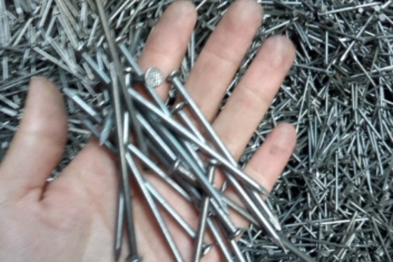 Heavy Duty Galvanized Iron Nail Flat Head Nails For Superior Construction Strength