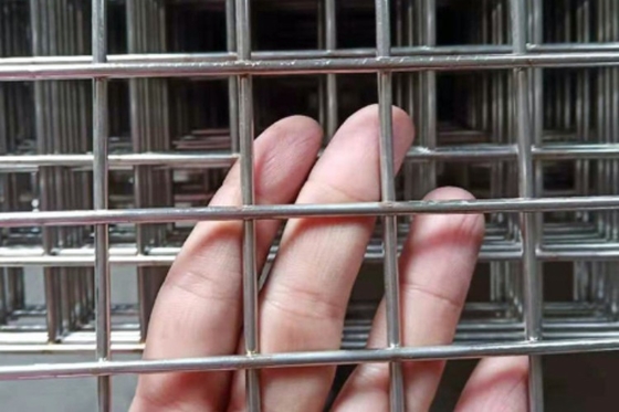 30m Roll SS Welded Wire Mesh 316 Stainless Steel Welded Wire Mesh