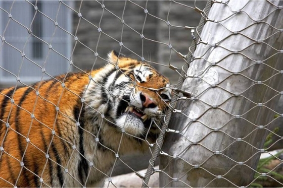 Indoor And Outdoor Rope Net Fence Heavy Duty Metal Screen Mesh