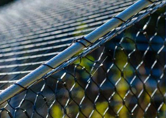 Aviary 50mm*50mm Wire Rope Mesh Stainless Steel Cable Mesh