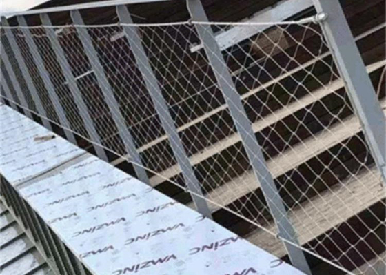 Stainless Steel Aviary Netting 50*50 Rope Netting Aviary Fencing Mesh