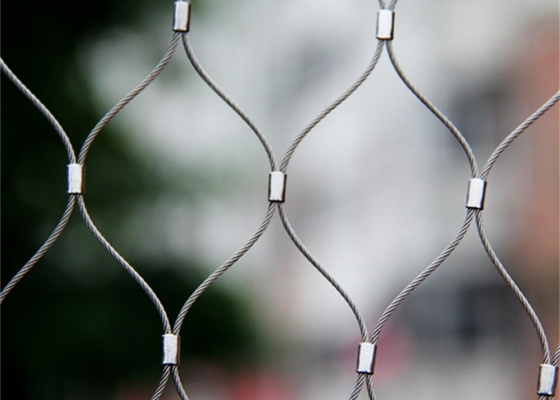 Aviary 50mm*50mm Wire Rope Mesh Stainless Steel Cable Mesh