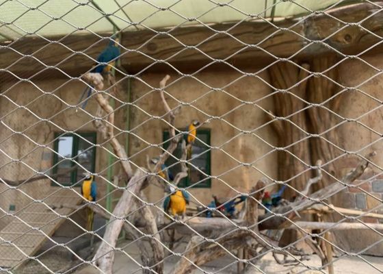 Rete per zoo da 2,0 mm, rete in fune d'acciaio inossidabile intrecciata da 50 mm