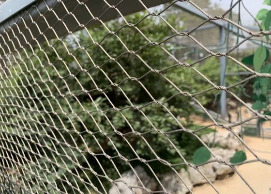 Bird 2mm 60*60mm Aviary Mesh Roll 304 Stainless Steel Cable Netting