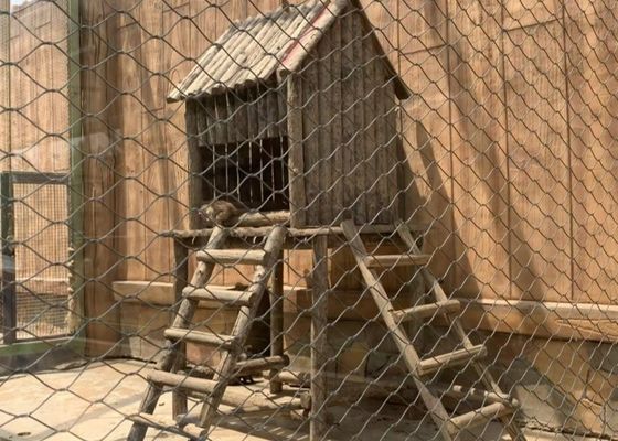 1.5 मिमी स्टेनलेस स्टील रोप फेरूल केबल मेश 15 मिमी एवियरी बाड़ के लिए