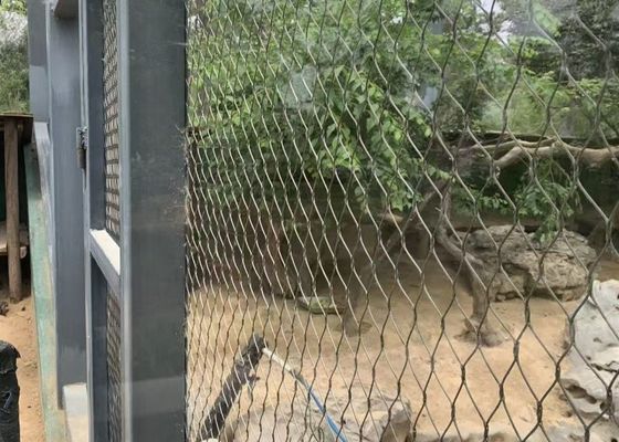 AISI 316 2.4mm Deer Enclosure Stainless Steel Wire Rope Mesh For Safety Fence