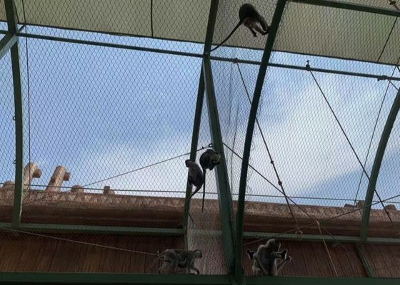 30mm 1.5mm Flexible Stainless Steel Rope Mesh Cable Wire Net For Zoo Animals Safety Fence