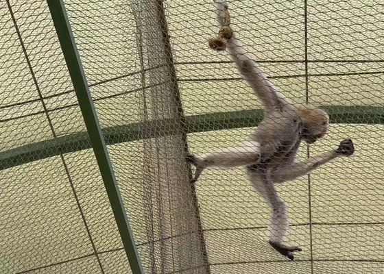 SS 7*19 1.5mm Roestvrijstalen Kabelgaas Voor Veiligheidsbeschermingsnet