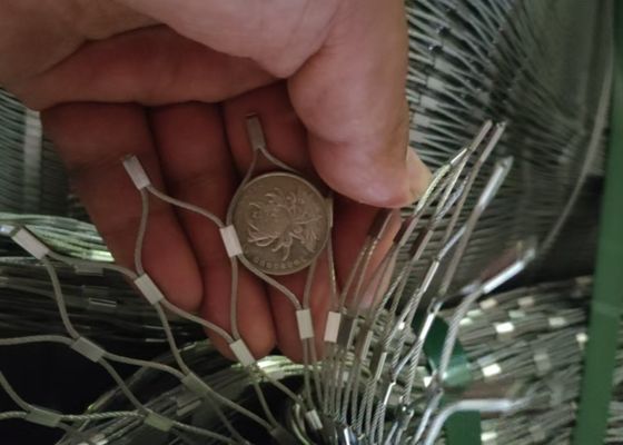 Rust Proof Common Iron Nails Galvanized Antique Wrought Iron Nails