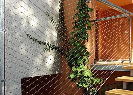 Stainless Steel 316 Wire Rope Mesh  75mm For Protection Net Plant Climbing Net