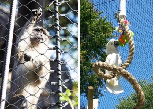 316 touwnet hek 35 * 35mm Opening roestvrij staal kabel mesh net voor dierentuin