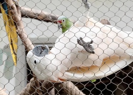 Bright Silver SS Welded Wire Mesh 200mm-300mm Square Woven Steel Mesh Sheets