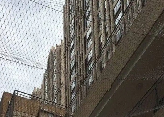 304 Stainless Wire Rope Mesh 50mm Steel Cable Netting For Fall Protection