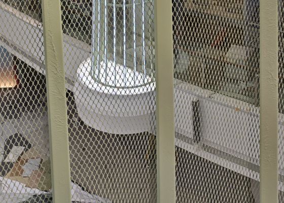 SS316 1.5mm Wire Diameter Aviary Rope Netting for Zoo Protection Mesh Fence with Corrosion Resistance