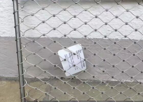 Rete in fune 316 in acciaio inossidabile 7*7 per recinzione di voliera dello zoo, parete verde, rete di sicurezza