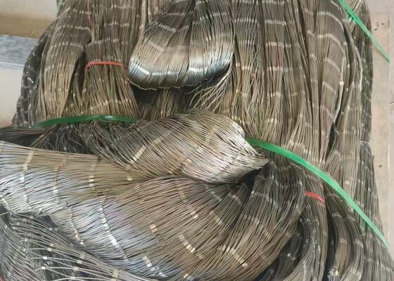 Stainless Steel Wire Rope Mesh  For Zoo Animal Enclosure And Garden Protection