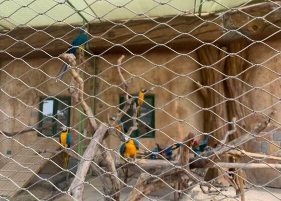 Good price 316 Stainless Steel Flexible Wire Mesh Netting Untuk Bird Aviary Anti-Falling Net on line