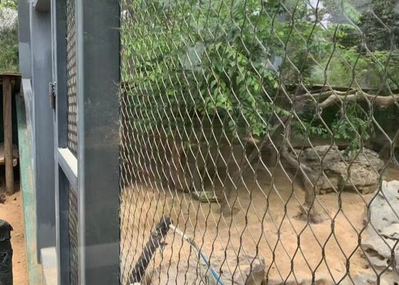 Ss304 Stainless Steel Wire Rope Mesh For Safety Barrier Protection Netting