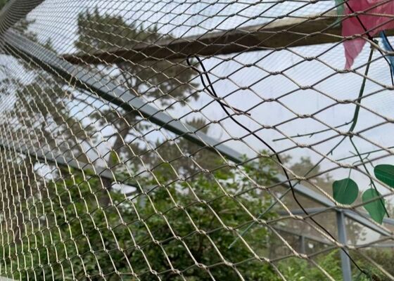 316 Flexible Stainless Steel Wire Rope Mesh Netfor Plant Green Climbing