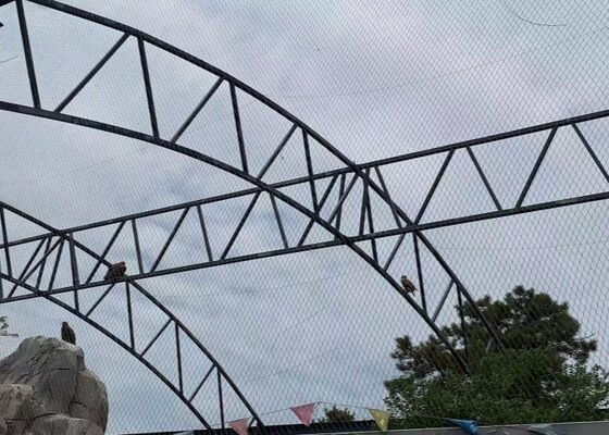 Good price SS316 Griglia di filo di acciaio inossidabile rete di protezione flessibile per giardino balcone in linea